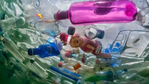 Impacto Ambiental del Uso de Botellas de Plástico