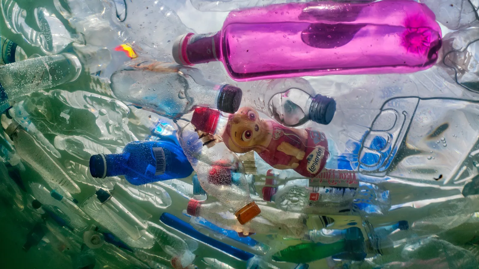 Impacto Ambiental del Uso de Botellas de Plástico